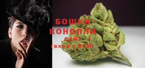 соль ск Нея