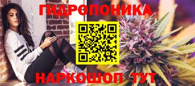 соль ск Кингисепп
