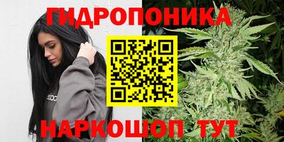 крисы Кимры