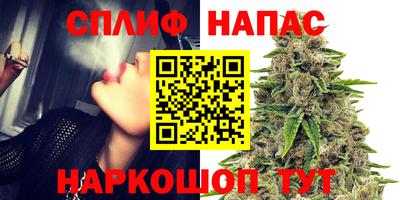 крисы Кимры