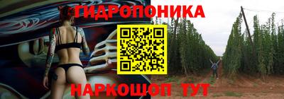 крисы Кимры
