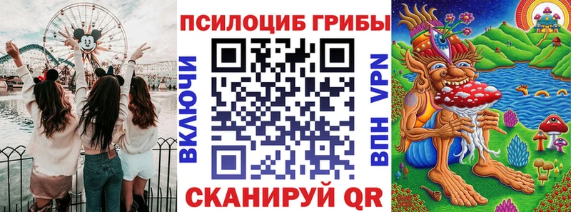 гидра ссылки Отрадный Псилоцибиновые грибы Psilocybine cubensis