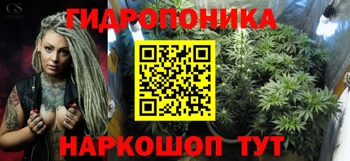 Каннабис SATIVA & INDICA  МАРИХУАНА план  Канабис Amnesia  Канабис Bruce Banner  Отрадный  Вход с VPN 